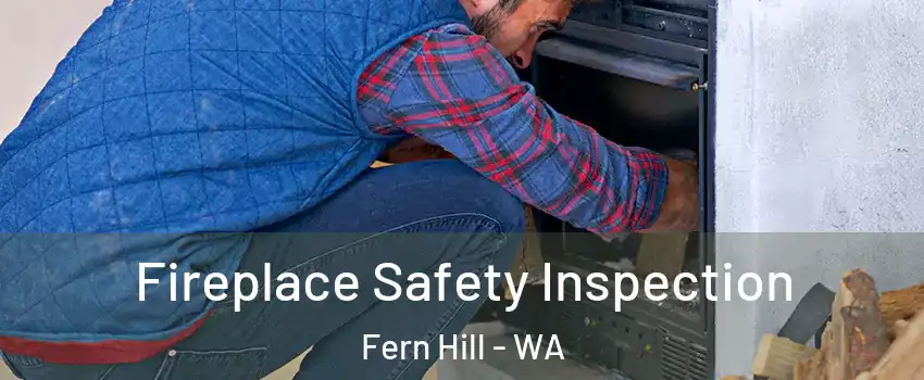 Fireplace Safety Inspection Fern Hill - WA