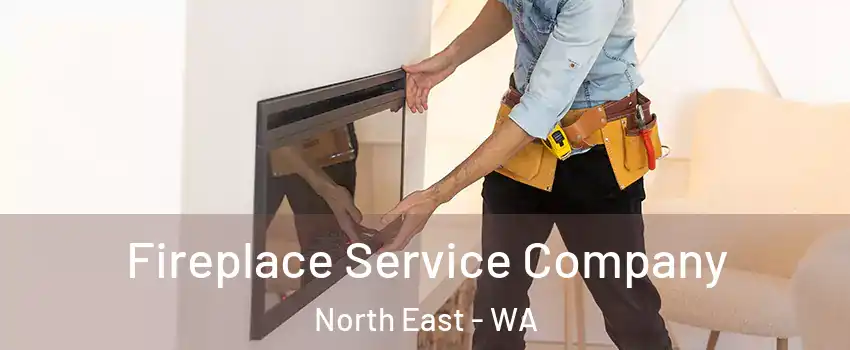 Fireplace Service Company North East - WA