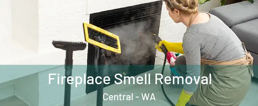 Fireplace Smell Removal Central - WA