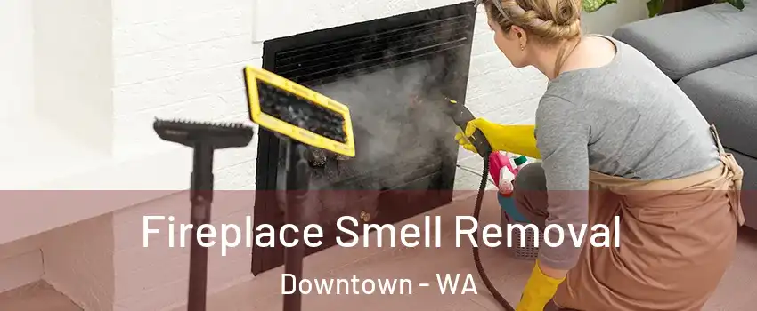 Fireplace Smell Removal Downtown - WA