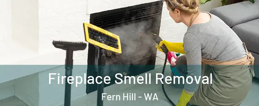 Fireplace Smell Removal Fern Hill - WA