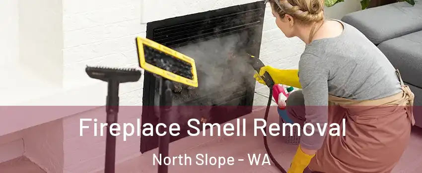 Fireplace Smell Removal North Slope - WA