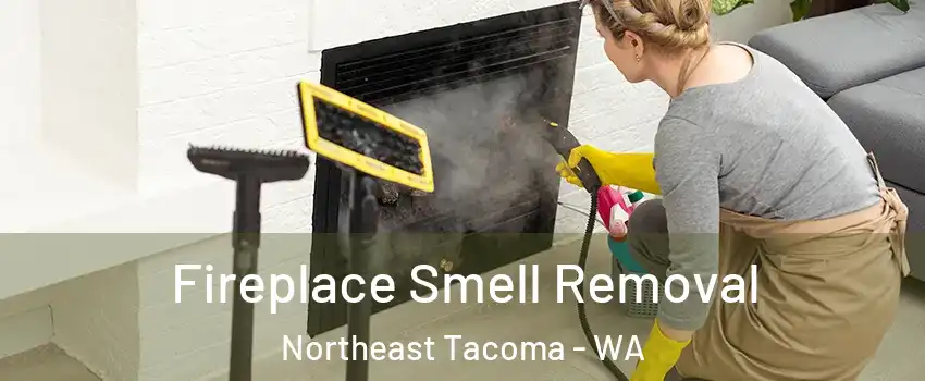 Fireplace Smell Removal Northeast Tacoma - WA