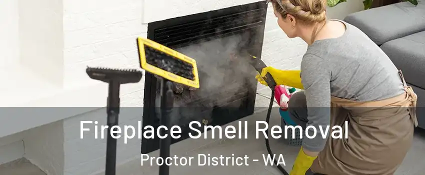 Fireplace Smell Removal Proctor District - WA