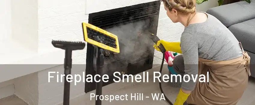 Fireplace Smell Removal Prospect Hill - WA