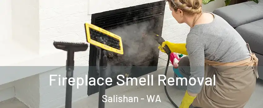 Fireplace Smell Removal Salishan - WA