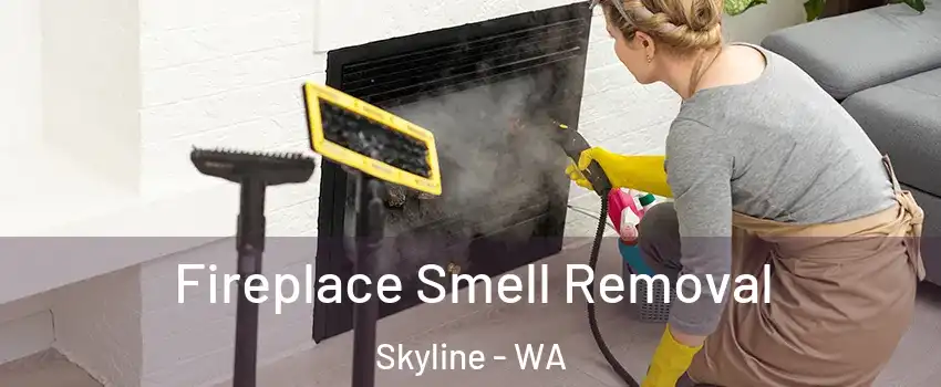 Fireplace Smell Removal Skyline - WA