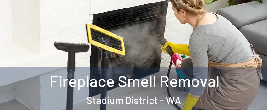 Fireplace Smell Removal Stadium District - WA