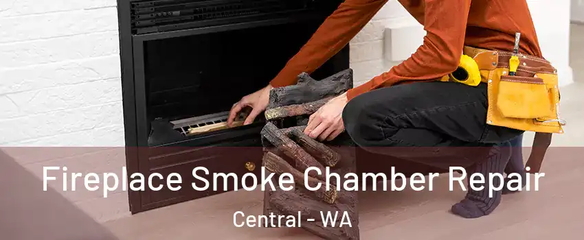 Fireplace Smoke Chamber Repair Central - WA