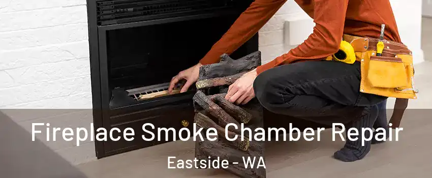 Fireplace Smoke Chamber Repair Eastside - WA