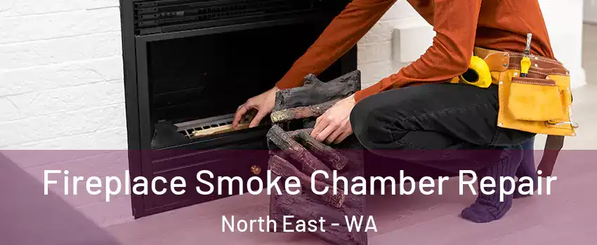 Fireplace Smoke Chamber Repair North East - WA