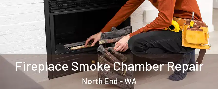 Fireplace Smoke Chamber Repair North End - WA