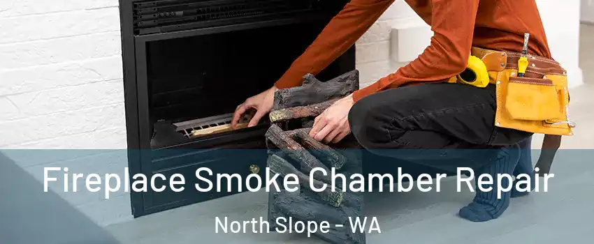 Fireplace Smoke Chamber Repair North Slope - WA