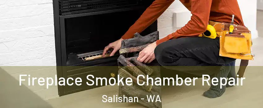 Fireplace Smoke Chamber Repair Salishan - WA