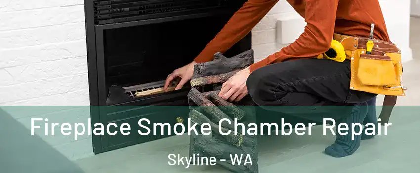 Fireplace Smoke Chamber Repair Skyline - WA