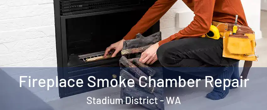 Fireplace Smoke Chamber Repair Stadium District - WA