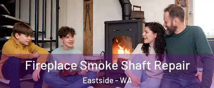 Fireplace Smoke Shaft Repair Eastside - WA