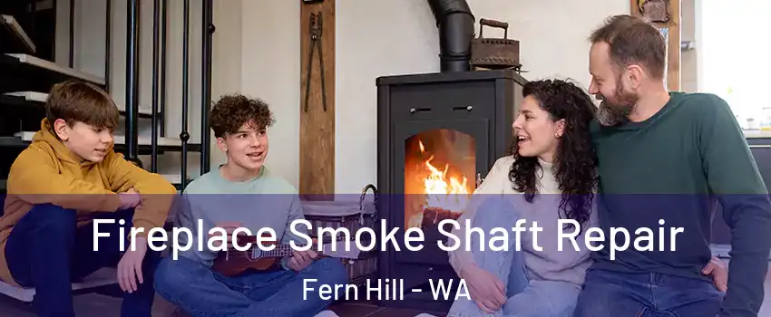 Fireplace Smoke Shaft Repair Fern Hill - WA