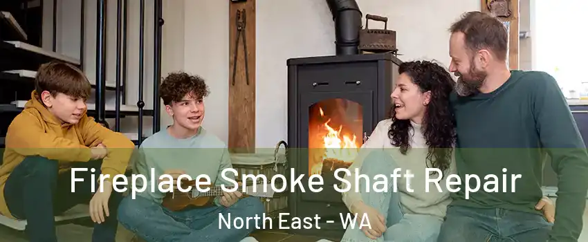 Fireplace Smoke Shaft Repair North East - WA