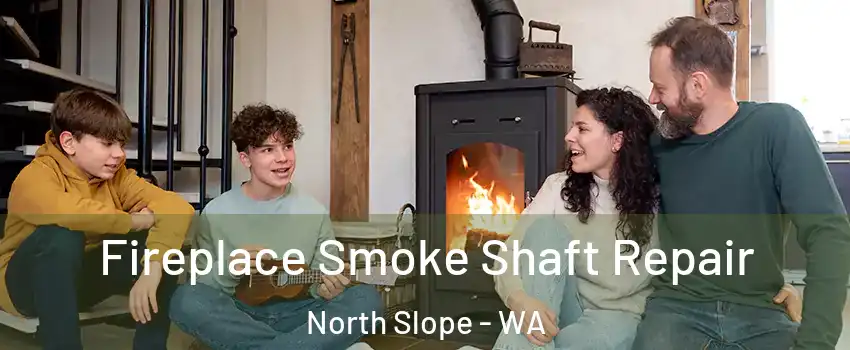 Fireplace Smoke Shaft Repair North Slope - WA