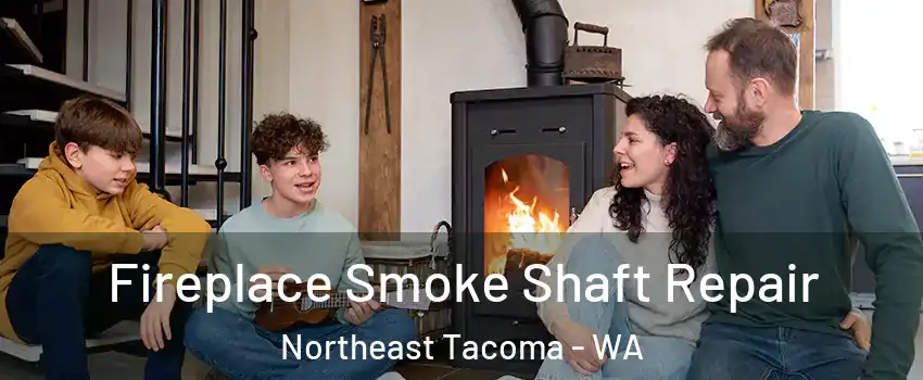 Fireplace Smoke Shaft Repair Northeast Tacoma - WA