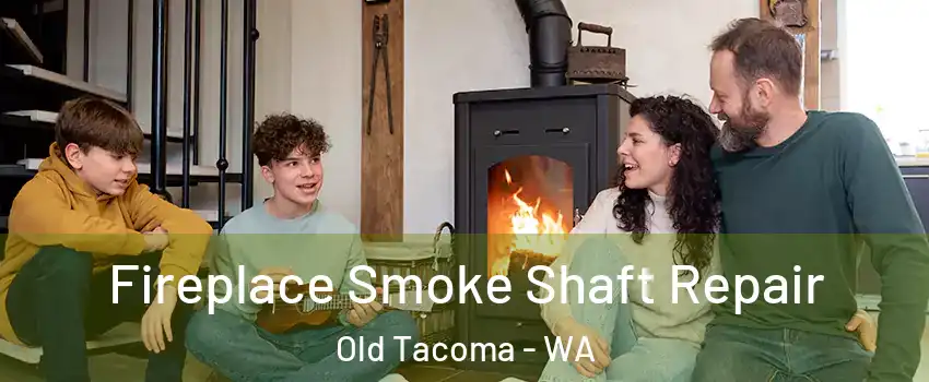 Fireplace Smoke Shaft Repair Old Tacoma - WA