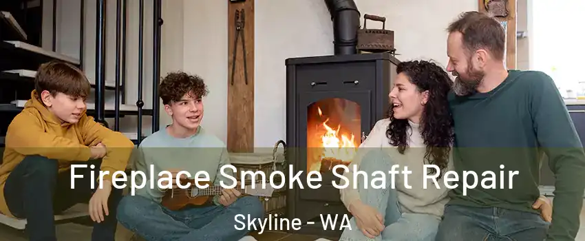 Fireplace Smoke Shaft Repair Skyline - WA