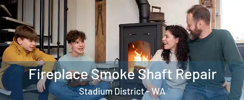 Fireplace Smoke Shaft Repair Stadium District - WA