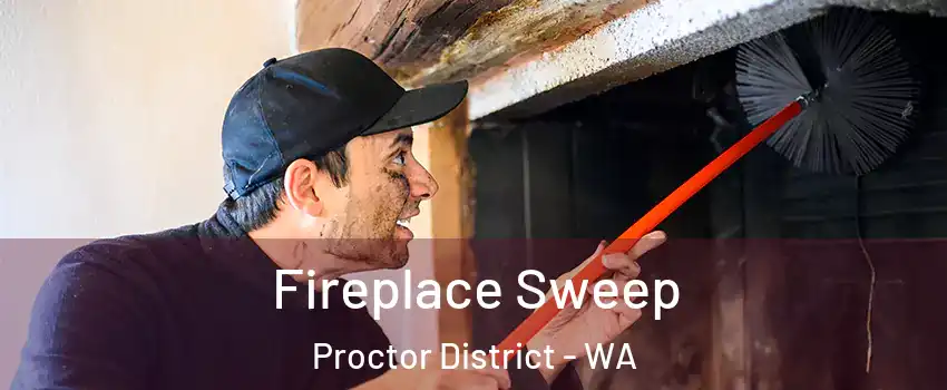 Fireplace Sweep Proctor District - WA