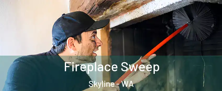 Fireplace Sweep Skyline - WA