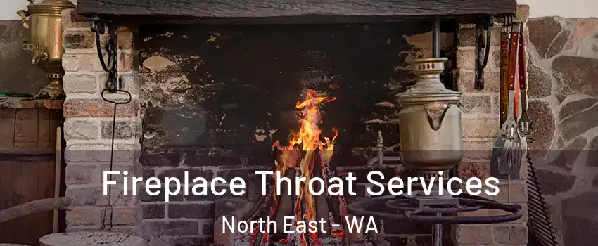 Fireplace Throat Services North East - WA