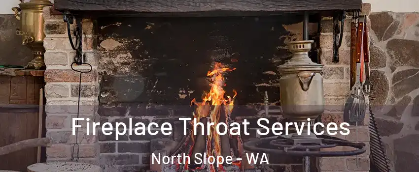 Fireplace Throat Services North Slope - WA