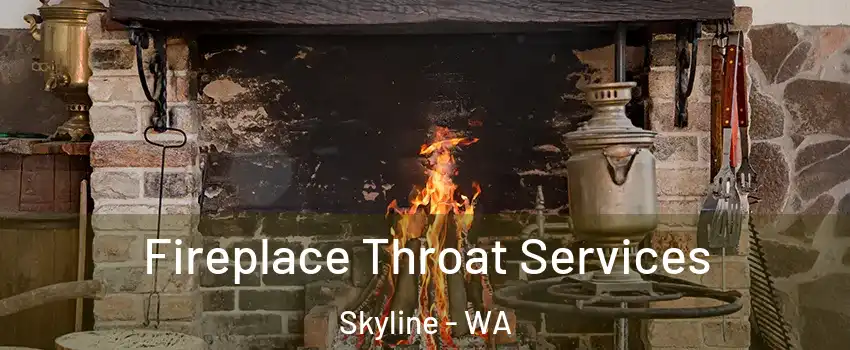 Fireplace Throat Services Skyline - WA