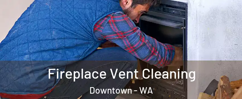 Fireplace Vent Cleaning Downtown - WA