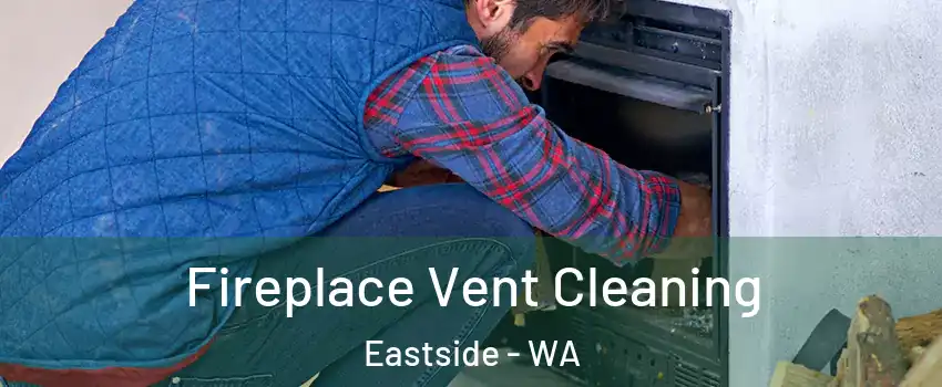 Fireplace Vent Cleaning Eastside - WA