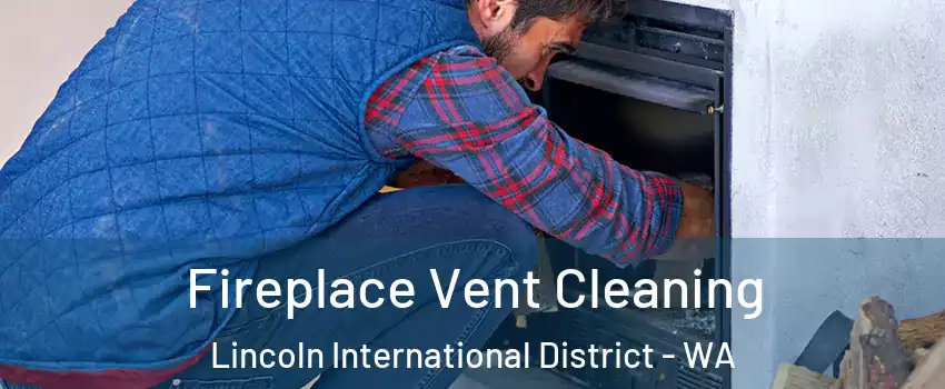 Fireplace Vent Cleaning Lincoln International District - WA