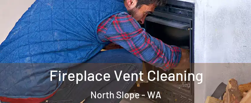 Fireplace Vent Cleaning North Slope - WA