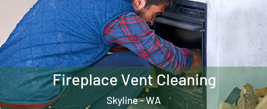 Fireplace Vent Cleaning Skyline - WA