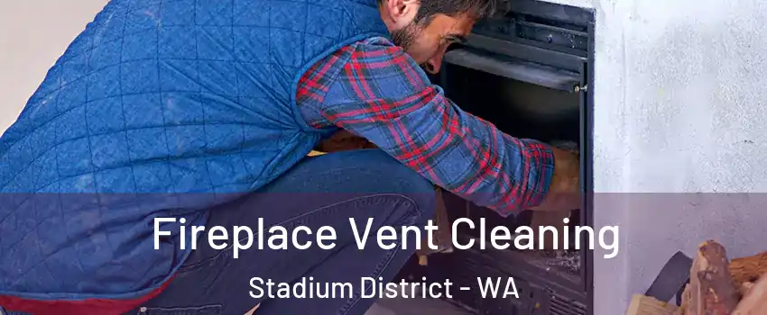 Fireplace Vent Cleaning Stadium District - WA