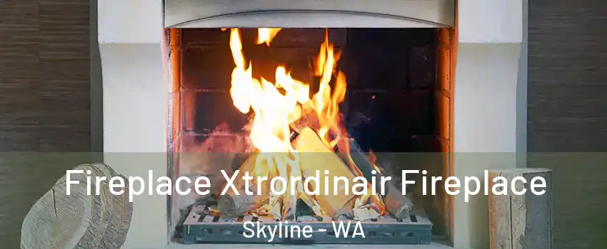 Fireplace Xtrordinair Fireplace Skyline - WA