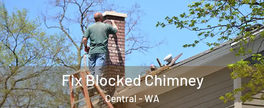 Fix Blocked Chimney Central - WA