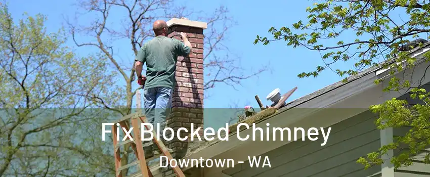 Fix Blocked Chimney Downtown - WA