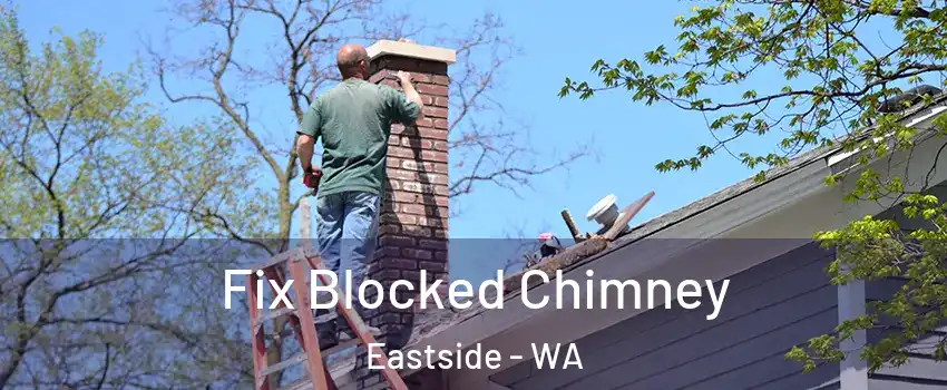 Fix Blocked Chimney Eastside - WA