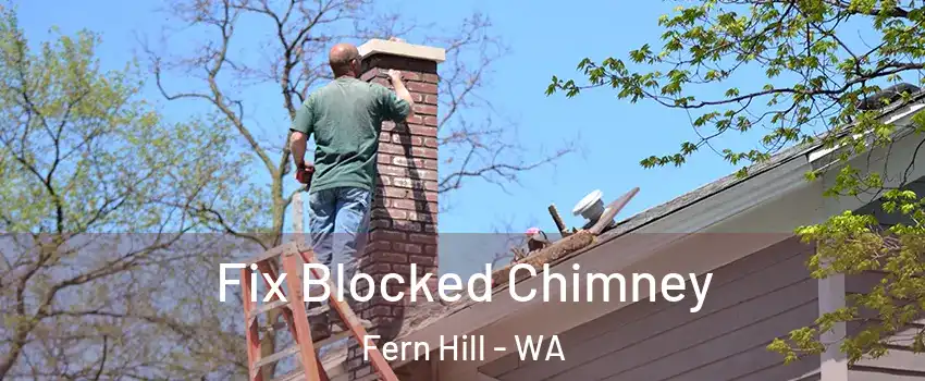 Fix Blocked Chimney Fern Hill - WA