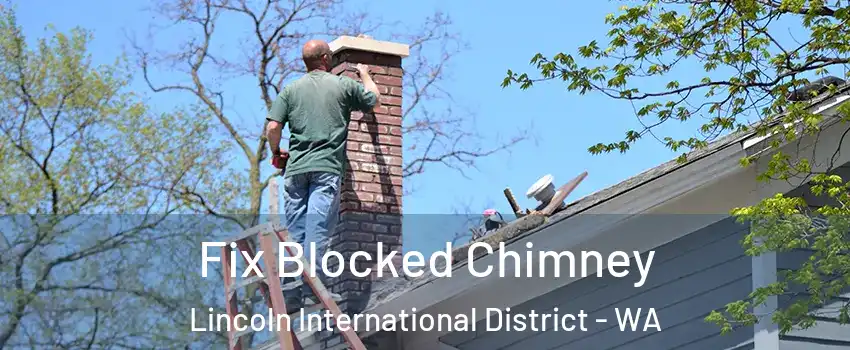 Fix Blocked Chimney Lincoln International District - WA