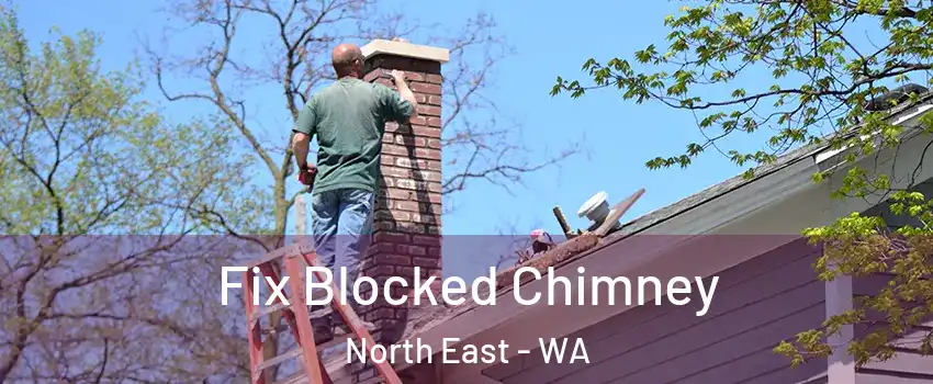 Fix Blocked Chimney North East - WA