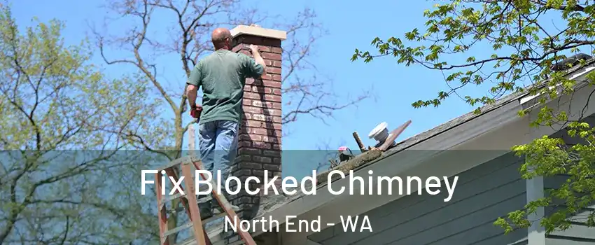 Fix Blocked Chimney North End - WA