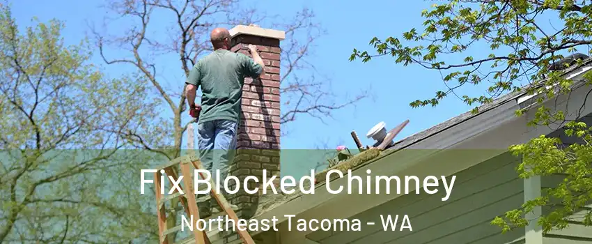 Fix Blocked Chimney Northeast Tacoma - WA