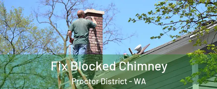 Fix Blocked Chimney Proctor District - WA