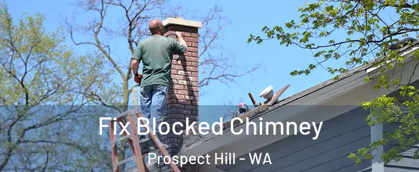 Fix Blocked Chimney Prospect Hill - WA